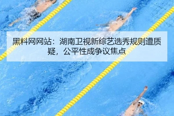 hei-liao-wang-wang-zhan-hu-nan-wei-shi-xin-zong-yi-xuan-xiu-gui-ze-zao-zhi-yi-gong-ping-xing-cheng-zheng-yi-jiao-dian-2-808.jpg